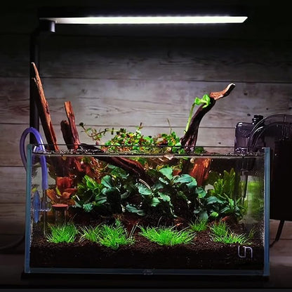 majoywoo Natural Small Coral Driftwood for Aquarium Decor Fish Tank Decorations, Assorted Driftwood Branch 4.5-7.5" 5 Pcs, Reptile Decor