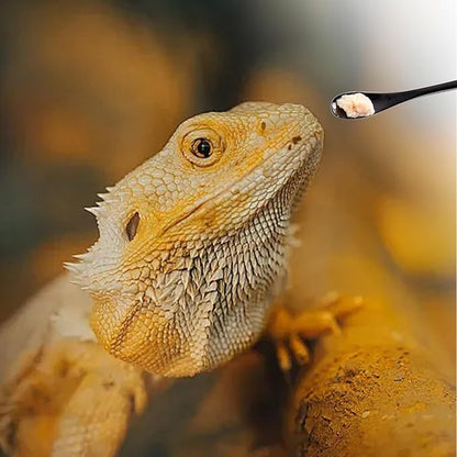 Reptile Feeding Tongs Kit, 2Pcs Extra Long Stainless Steel Reptile Feeding Tongs, 1Pcs Feeding Spoon, Small Animal Feeder Tool for Lizards, Crested Geckos, Bearded Dragons