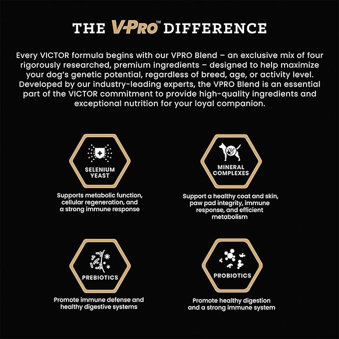 VICTOR Super Premium Dog Food – Professional Dry Dog Food – Super Premium Kibble with 26% Protein – Gluten-Free with Beef, Chicken & Pork Meals – for High Energy and Active Dogs & Puppies, 30lbs
