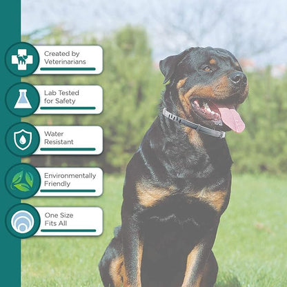 Natural Flea and Tick Collar for Puppies - Provides 24-Month Protection, Safe Pest Control - Waterproof and Strong - Includes Free Flea Comb and Tick Tweezer - 4-Pack