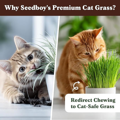 Seedboy Organic Cat Grass Seeds for Planting, Non-GMO Wheat, Oat, Rye, and Barley Pet Grass Seeds for Indoor Cats (8 oz)