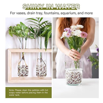 NUPICK 3 lbs Pebbles for Indoor Plants, 1/5 Inch Pea Gravel for Fish Tank, Polished Decorative Rocks for Succulent, Natural River Stones for Vases, Cactus, Landscaping, Bird Bath, Colorful Mixed