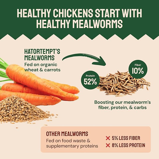 Dried Mealworm Bird Food - 20 Lb Bulk Pack - High Protein Poultry & Chicken Feed - Duck Food & Wild Bird Feed & Quail Treats