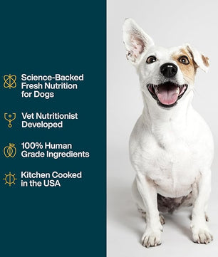 JustFoodForDogs JustFresh Home-Cooked Pork Dog Food with No Preservatives, Resealable Package, Human Grade Wet Dog Food, 12 oz - 7 Pack