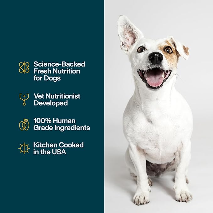 JustFoodForDogs JustFresh Home-Cooked Pork Dog Food with No Preservatives, Resealable Package, Human Grade Wet Dog Food, 12 oz - 7 Pack