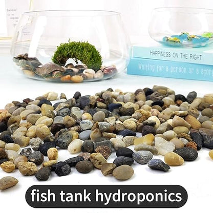 10LB Decorative River Rocks Gravel -2/5" Mixed Color Gravel for Vase Filling, Flower Pot Paving. Gravel for Garden Decoration,Landscaping,Aquarium Aquascape Gravel, Fish Tanks Gravel(8-12MM)