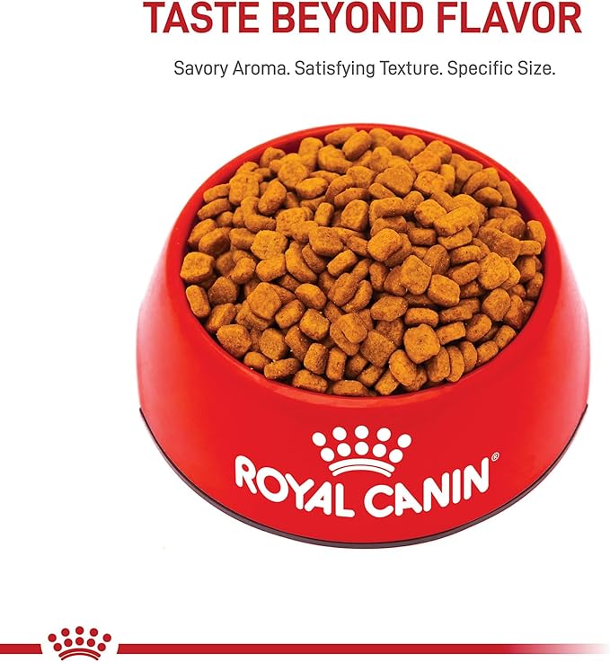 Royal Canin Breed Health Nutrition Poodle Adult Dry Dog Food, 10 lb Bag
