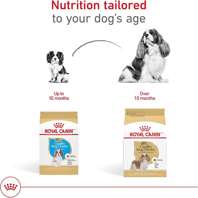 Royal Canin Cavalier King Charles Spaniel Adult Breed Specific Dry Dog Food, 10 lb bag