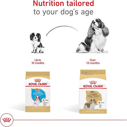 Royal Canin Cavalier King Charles Spaniel Adult Breed Specific Dry Dog Food, 10 lb bag