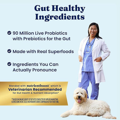 Solid Gold High Protein Dog Food Dry Dog Kibble - Premium Beef Protein & Digestive Probiotics for Energy, Muscle, Gut & Immune Support - Healthy Grain & Gluten Free Dogfood - Nutrientboost - 3.75 LB