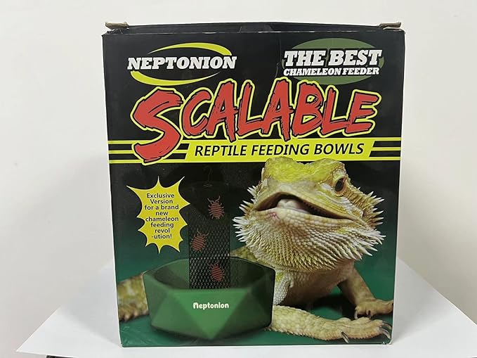 Hookable Chameleon Feeding Bowl, Professional Live Worm Organizer with Column for Prey to Climb and Move, Suitable for Lizard, Bearded Dragon, Iguana, Gecko, Toad, Frog