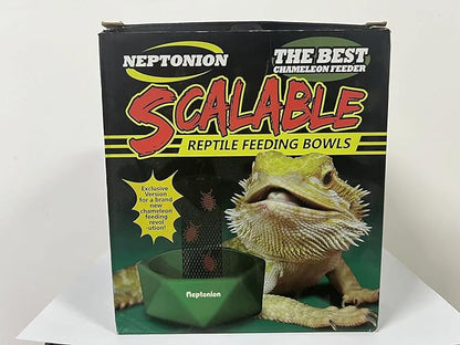 Hookable Chameleon Feeding Bowl, Professional Live Worm Organizer with Column for Prey to Climb and Move, Suitable for Lizard, Bearded Dragon, Iguana, Gecko, Toad, Frog