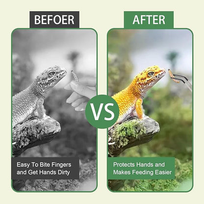 3Pcs Reptile Feeding Tool Set, 2 Tipped Tongs and 1 Feeding Spoon, Stainless Steel Crested Gecko Feeding Spoon for Geckos, Lizards, Bearded Dragons, Small Animals (Silver)