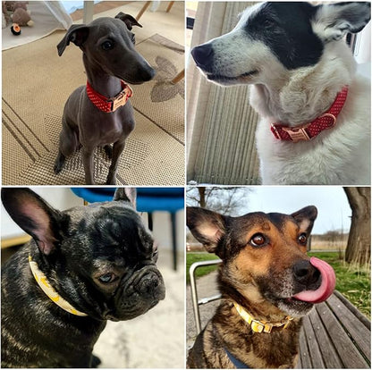 Custom Dog Collar with Names and Phone Number Engraved, Puppy Tags Personalized for Small Medium Large Pets