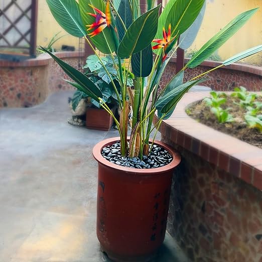 10LB Succulent and Cactus Black Pebbles, 3/8 Inch Natural Decorative Polished Stones, River Rocks for Indoor Plants, Vases, Planters and Outdoor Gardening