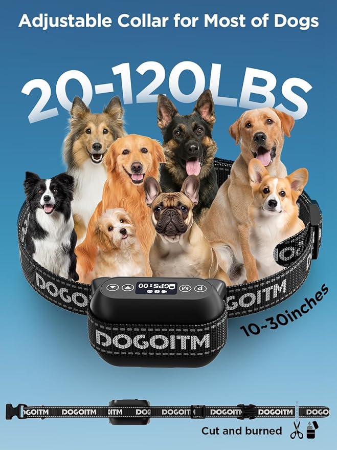 GPS Wireless Dog Fence System, Electric Fence Collar with 3 Warning Modes,Dog Fence for Outdoor Use,Range 65-3290 FT, Waterproof& Rechargeable Pet Containment System for Most Dogs