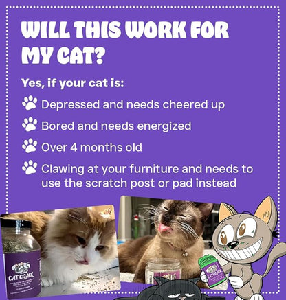 Cat Crack Catnip, Zoomie-Inducing Cat Nip Blend, North American Made & 100% Natural, Safe & Non-Addictive Catnip Treats Used to Supplement Cat Nip Toys, Spray, & Accessories (20 Cups)