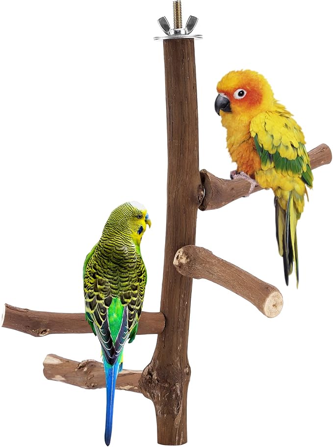 CozyCabin Natural Bird Perch Stand, Hanging Multi Branch Grapevine Parrot Perch Bird Cage Toys for Small Budgies Conure Parrot Parakeets Cockatiels Lovebirds (Branch)