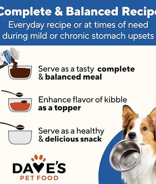 Dave's Pet Food Bland Diet Dog Food (Chicken & Rice), Sensitive Stomach, Easy to Digest, Gluten-Free, Digestive Care, Wet Canned, 13.2 oz (Case of 12)