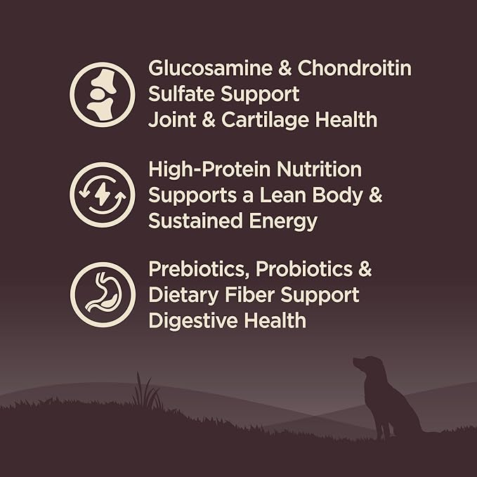Wellness CORE Grain-Free Senior Dry Dog Food, Made in USA with Natural Ingredients, No Meat by-Product, Fillers, Artificial Flavors, or Preservatives (4-Pound Bag, Turkey)
