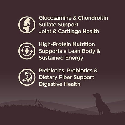 Wellness CORE Grain-Free Senior Dry Dog Food, Made in USA with Natural Ingredients, No Meat by-Product, Fillers, Artificial Flavors, or Preservatives (4-Pound Bag, Turkey)