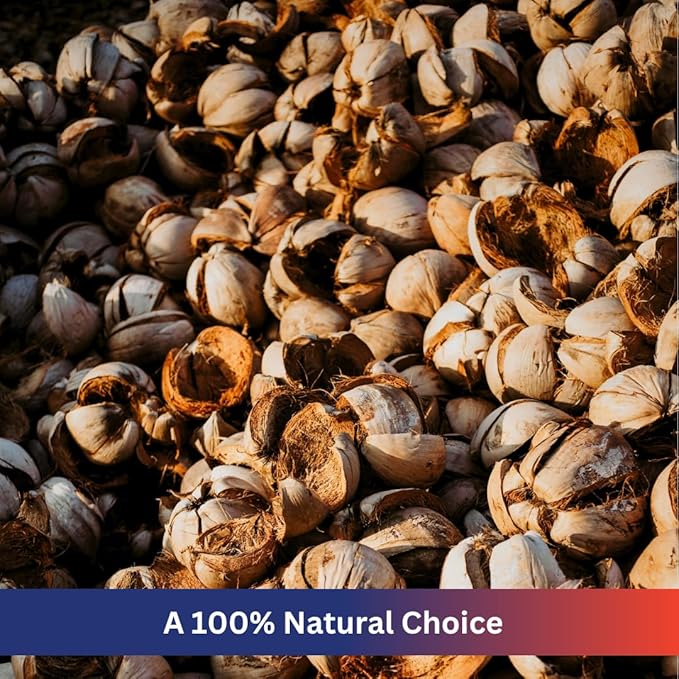 Premium Coconut Chip Substrate for Reptiles by ReptiPlus - 10 LB Compressed Block Expands up to 72 Quarts - Natural Bedding for Ball Pythons, Tortoises, Hermit Crabs, Bearded Dragon Habitats