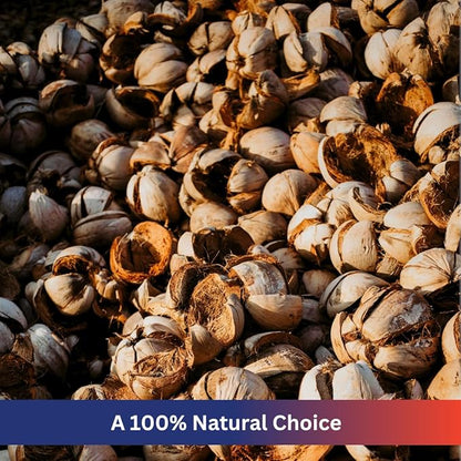 Premium Coconut Chip Substrate for Reptiles by ReptiPlus - 10 LB Compressed Block Expands up to 72 Quarts - Natural Bedding for Ball Pythons, Tortoises, Hermit Crabs, Bearded Dragon Habitats