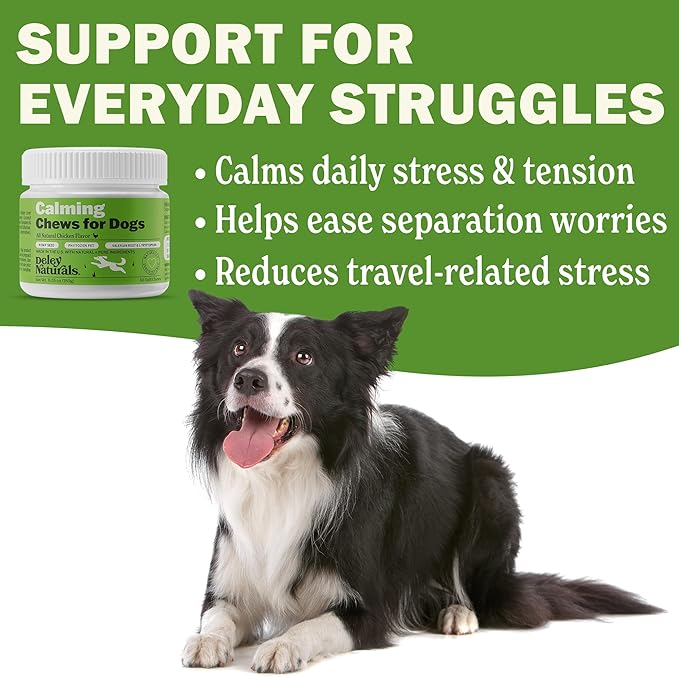 Deley Naturals Calming Chews for Dogs - Anxiety Relief Treats - Hemp Chews for Separation, Travel & Vet Visit - Dog Calming Chews and Relaxation Bites for Fireworks, Thunderstorms & Restless Behavior
