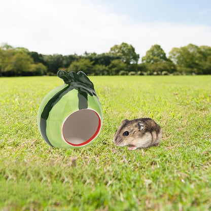 Hypeety Small Animal Hideout Ceramic House Critter Bath House Cave Mini Hut Cage for Hamster (Green)
