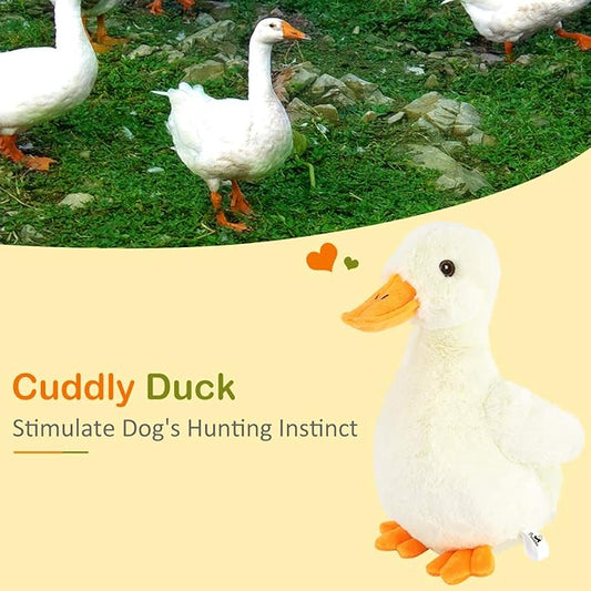 Pawaboo Squeak Plush Duck Dog Toy, Large 12'' Super Soft PlushStuffed Duck-Shaped Pet Toys, Crinkle Paper Rattle Pet Biting Training Chew Toys Non-Toxic Plush Doll for Pet Dogs, Light Yellow/Orange