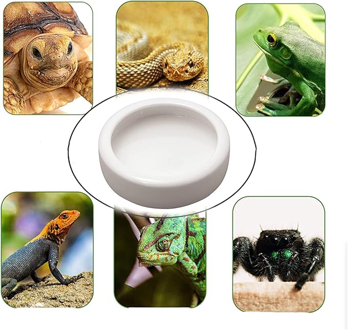 Tfwadmx 2 Pack Reptile Food Bowl, Mini Ceramic Water Feeder Bowl, Reptile Worm Feeding Dish for Lizard Turtle Bearded Dragon Anoles Crested Gecko Hermit Crab Leopard Gecko Chameleon Corn Snake