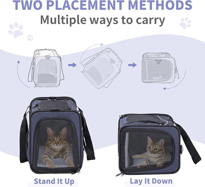 ‌Petsfit Airline Approved Pet Carrier for Small Cats, 15x8x10 TSA Approved Carrier, with Removable Dual-Sided Padding (2-Way Placement) - Fits Under Most Airplane Seats, Escape Proof (Navy)