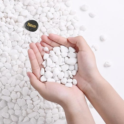 SIDONG 5 LB White River Rocks, 0.3-0.5 Inches Matte Pebbles for Indoor Plants, Aquarium Rocks Used in Fish Tank, Decorative Stones for Plants, Vases, Home Décor, Crafting, Garden Landscaping