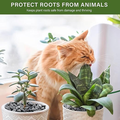 NUPICK 12 lbs Pebbles for Indoor Plants, 3/8 Inch Pea Gravel for Fish Tank, Decorative Rocks for Succulent, Natural River Stones for Vases, Cactus, Landscaping, Bird Bath, Aquarium, Grey