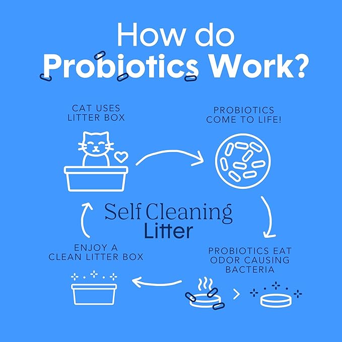 Boxie Probiotic Cat Litter, 30 Day Odor Control, Clumping Clay Kitty Litter, Odor Eliminating Probiotics, Dust-Free, No Fragrances No Fillers, 16 lb