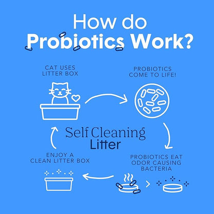 Boxie Probiotic Cat Litter, 30 Day Odor Control, Clumping Clay Kitty Litter, Odor Eliminating Probiotics, Dust-Free, No Fragrances No Fillers, 16 lb