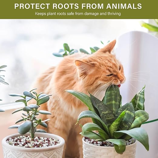 NUPICK 6 lbs Pebbles for Indoor Plants, 1/5 Inch Pea Gravel for Fish Tank, Polished Decorative Rocks for Succulent, Natural River Stones for Vases, Cactus, Landscaping, Bird Bath, Colorful Mixed