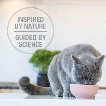 Feline Natural High Protein Dry Cat Food, Freeze-Dried Diet with 98% Meat, Organs & Seafood, No Peas, Grains, or Artificial Additives, Made in New Zealand Beef & Hoki, 3.5oz