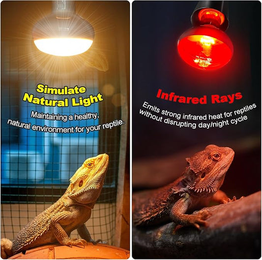 MIXJOY 100W Reptile Heat Lamp Bulb Combo, 2PCS Day & Night Reptile Heat Bulbs, UVA Daylight Intense Heat Basking Bulb Infrared Heat Light Bulb for Reptiles, Lizard, Tortoise, Bearded Dragon Chickens