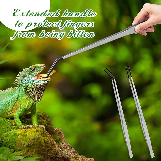 Lasnten 2 Pcs Extra Long Stainless Steel Reptile Feeding Tongs with Rubber Tip Bearded Dragon Aquarium Straight and Curved Long Tweezer Terrarium Feeder Tool for Tank(Silver, 18.5 Inch, 18.9 Inch)
