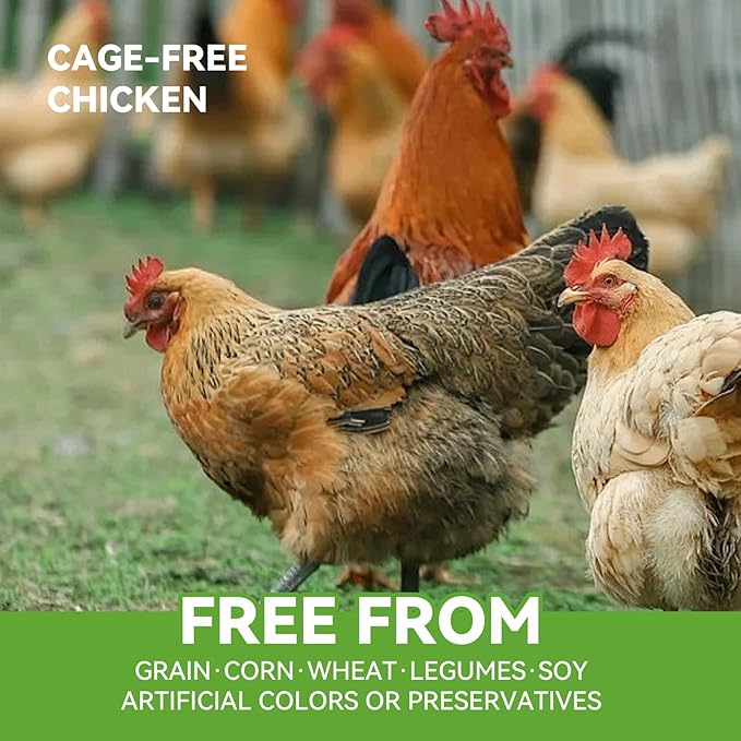 OPET Freeze Dried Cat & Dog Treats,Single Ingredient High Protein Grain Free Crunchy Cat Treats，Healthy Training Treats(1.76oz)