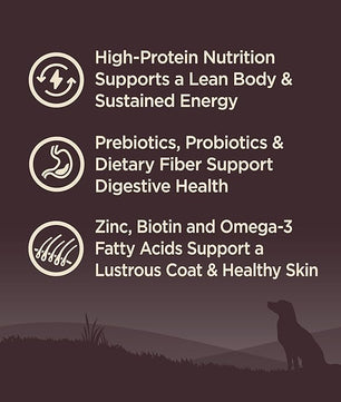 Wellness CORE Dry Dog Food, Grain-Free, High Protein, Natural, Ocean Whitefish, Herring, & Salmon Recipe, (4-Pound Bag)