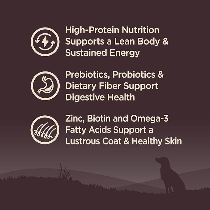 Wellness CORE Dry Dog Food, Grain Free, High Protein, Natural, Lamb Recipe, (22-Pound Bag)