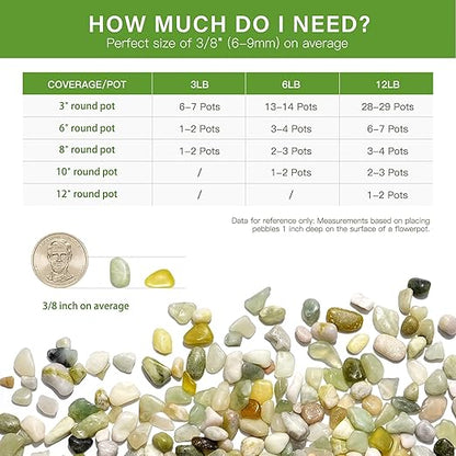 NUPICK 6 lbs Pebbles for Indoor Plants, 3/8 Inch Pea Gravel for Fish Tank, Polished Decorative Rocks for Succulent, Natural River Stones for Vases, Cactus, Landscaping, Bird Bath, Aquarium, Jade