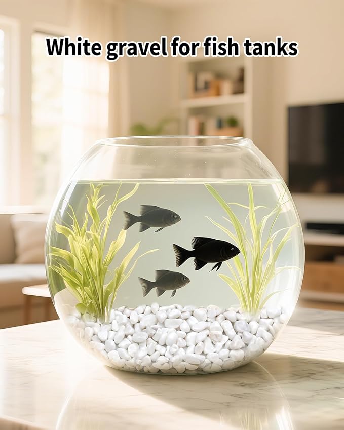 6LB White Succulent & Cactus Gravel Pebbles - 1/4-3/8 Inch Natural Polished River Rocks, Decorative Stones for Plants, Terrariums, Vases, Aquariums & Outdoor Gardening