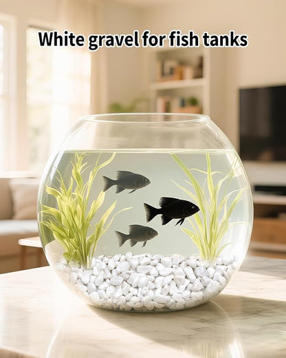 6LB White Succulent & Cactus Gravel Pebbles - 1/4-3/8 Inch Natural Polished River Rocks, Decorative Stones for Plants, Terrariums, Vases, Aquariums & Outdoor Gardening