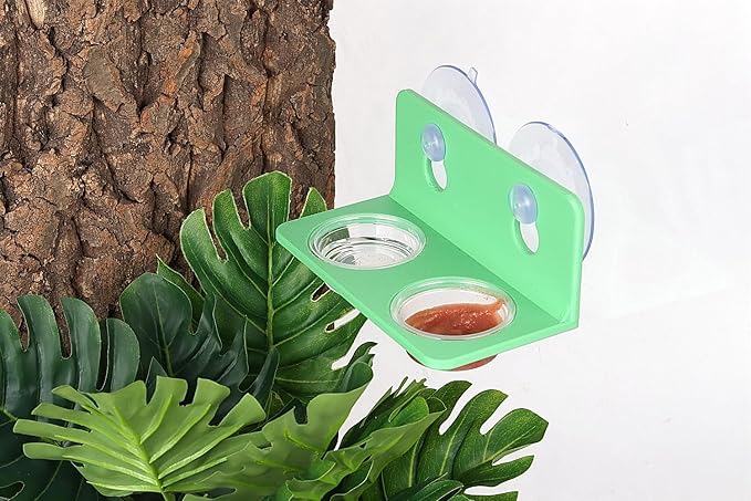 Crested Gecko Feeding Ledge with 10PCS Reptile Food Cups - Green