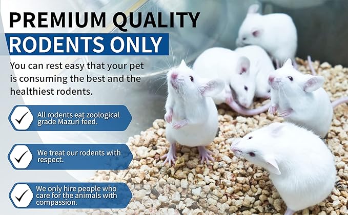 MiceDirect Frozen Mice Combo Pack of Small Pinkies & Pinkies Feeder Mice - Food for Corn Snakes, Ball Pythons, Lizards – 40 Ounce (Pack of 100)