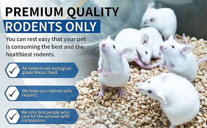 MiceDirect Frozen Mice Combo Pack of Small Pinkies & Pinkies Feeder Mice - Food for Corn Snakes, Ball Pythons, Lizards – 40 Ounce (Pack of 100)