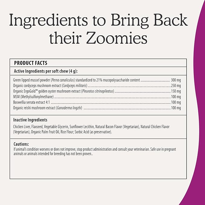 Real Mushrooms Mobility Chews for Dogs & Cats – Green Lipped Mussel & ErgoGold Mushroom Blend – Dogs & Cat Vitamins Treats for Active Routines – Joint, Hip & Flexibility Support – 240 ct Supplement